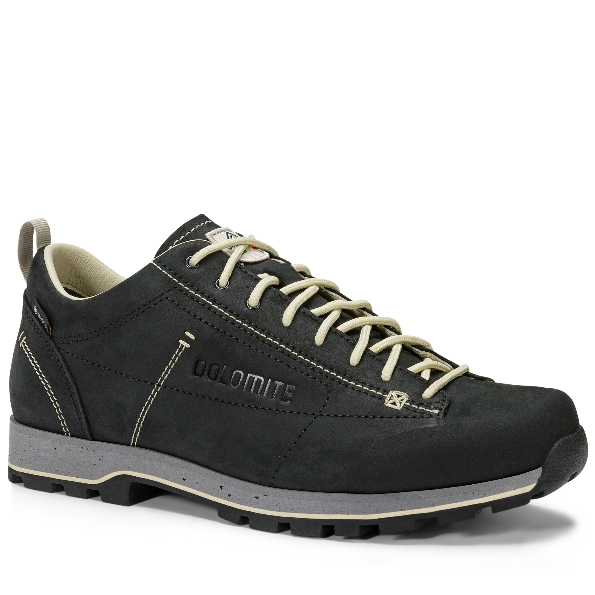 DOLOMITE 54 Low Fg Evo GORE-TEX Schuh in schwarz 