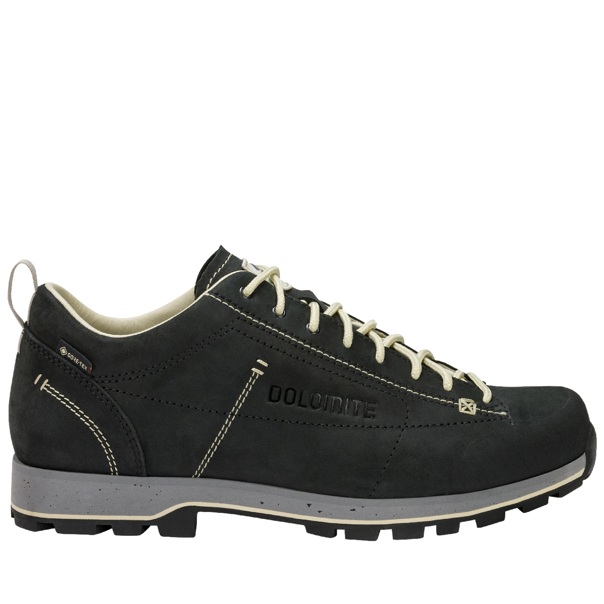 DOLOMITE 54 Low Fg Evo GORE-TEX Schuh in schwarz 