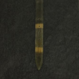 Ralph Gladen Lizard Gürtel Breite 3,0cm in grün-beige/ Eidechsenleder