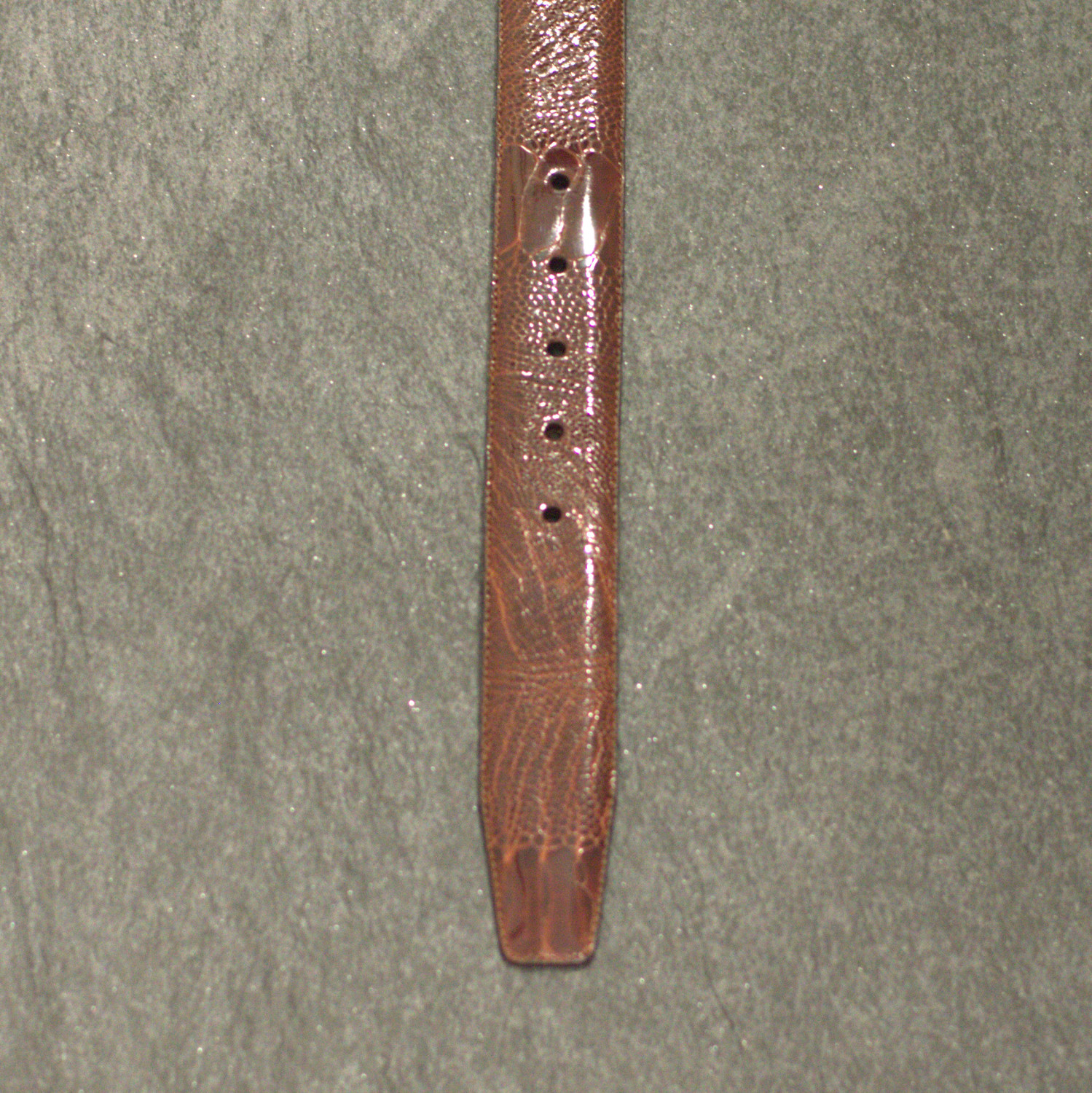 Possum Reptilienleder-Gürtel Strauß Fuß/ Ostich Breite 3,5 cm Braun