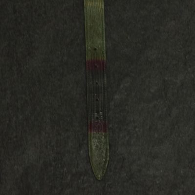 Ralph Gladen Lizard Gürtel Breite 3,0cm in grün-lila/ Eidechsenleder